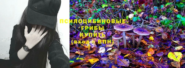 героин Горняк